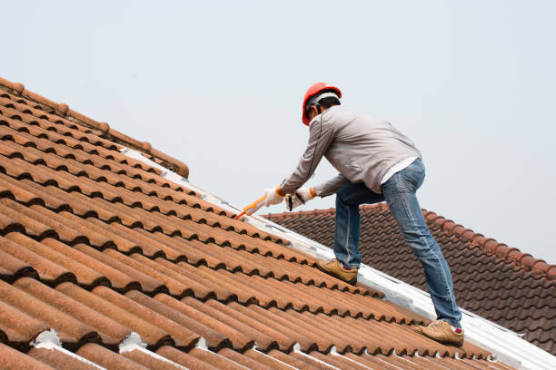 Best Wood Shake Roofing  in Washington, DC